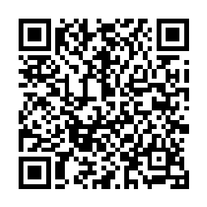 而我散发着妖尸一族的王者气势居然对他没有任何威压作用二维码生成