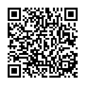 而我正好打算接连而上……还记得那会你和司凛住在四月酒店里二维码生成