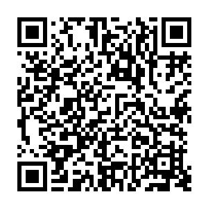 而所有生灵则要确保植物提供灵气的过程不被破坏和为植物创造适合的环境二维码生成