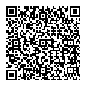 而政府融资平台的负债也是随着南城新区的迅速扩大和基础设施的飞速推进成几何倍数的猛增二维码生成