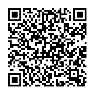 而整个死亡领域中的灰色光辉也仿佛受到了某种可怕力量的吸引一般二维码生成