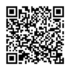 而断裂开来的砖块更是把挡风玻璃也砸出一个深深的白印痕二维码生成