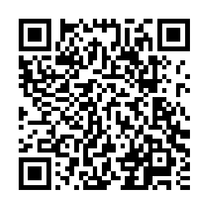 而无尽森林外面的势力又不知道他们派进无尽森林中的人都死了二维码生成