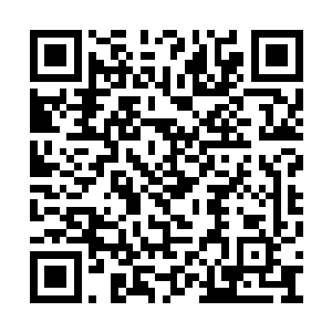 而无法之水让所有弟子都没办法使用任何的法术二维码生成