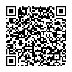 而时不时从里面伸出来的藤子和柳条才能表现元辰夕还活着而且有反抗的能力二维码生成