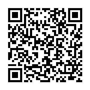 而是一直在跟张冰玉小声讨论着父亲杨修元这件案子的相关情况二维码生成