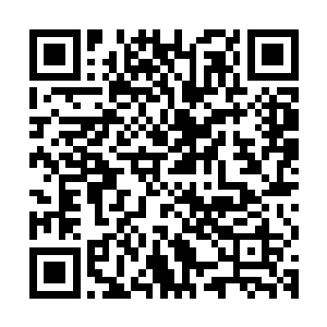 而是他很清楚能在这个分段中用瑞雯的选手实力怎么也不会太差二维码生成