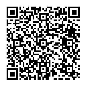 而是他相信在地下世界中有他撑腰一次次摆平那些被心里美魔化吃掉的宠物们的麻烦二维码生成