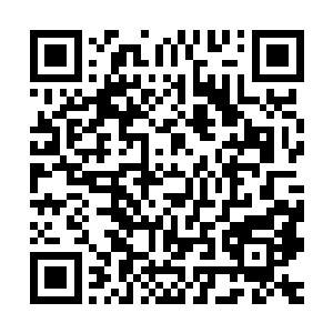 而是利用其磁场和特殊伴生矿物移植原本不能在这里生长的药材二维码生成