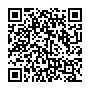 而是和曹主教还有刘诗诗一样的防御性和恢复性的高级宝器二维码生成