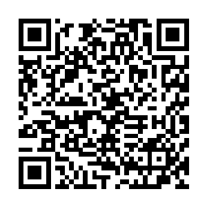而是因为它们不与玩家缔结契约的话是不能离开万枯骨城的二维码生成