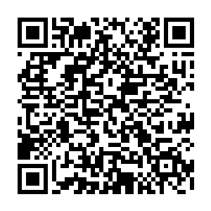 而是因为这一个多陈凌和莫春娇每天都服用增速药水加快修炼速度的结果二维码生成