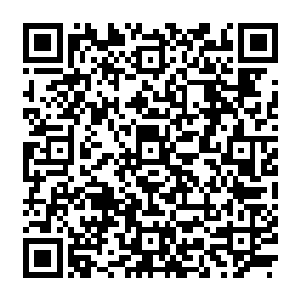 而是因为这部电影更加现实――那种彷佛在观看电影的同时就在生活中真实发生的残酷现实二维码生成