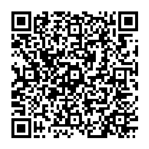 而是在瞬息之际施展一个结界 两股强大的法力注入 顿时让结界硬如铜墙 好似金刚二维码生成