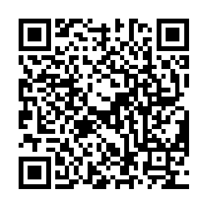 而是坐在房间里将第一层的基础炼丹知识进行汇总分析二维码生成