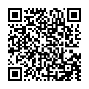 而是害怕蓝地佣兵团的威势和他的实力才回来的而已……二维码生成