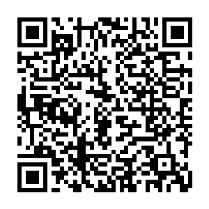 而是尽量在安全点的地方查漏补缺另一方面也是因为不管刘西瓜多么任性二维码生成