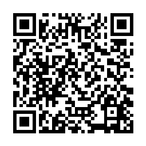 而是开始精心准备起了投票月里对珍妮弗的组合重击二维码生成