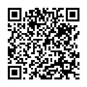 而是打算从我口中拷问出我究竟是为什么能够脱离他们的掌控二维码生成