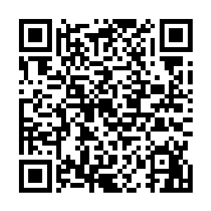 而是把百族强者打在结界上的所有攻击全部都反弹了回去二维码生成