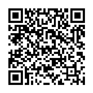 而是挥动斧头再次向赵长枪发动了连绵不绝的攻击二维码生成