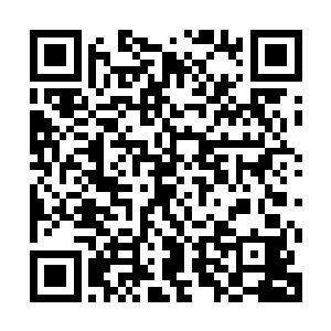 而是整个木卫系统木星以及其总计70颗卫星共同作用下形成的二维码生成