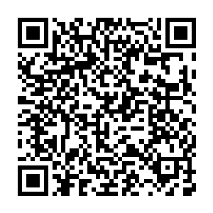 而是星皇神殿有太多的顾忌掣肘无法让其彻底在龙皇域放开手脚而已二维码生成