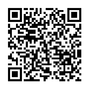 而是曾经被认为只能算是够资格来参加五行果大会的巫咸门二维码生成