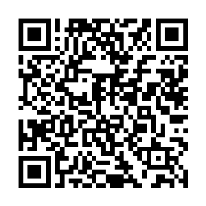 而是母体树硬生生将植物病毒与白小飞的基因相融合二维码生成