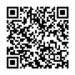 而是毕业于江南省东部的长三角最尖端的江州最好的江州大学的二维码生成