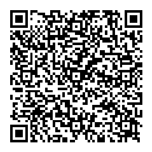 而是由皇帝带着所有的宫妃皇子公主以及大臣一起登上了宫中最高的摘星阁欣赏特意安排的烟火以及大型的歌舞表演二维码生成