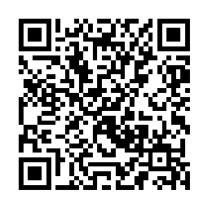 而是知道海皇波塞冬这样做可能会触动这一座大殿的禁制二维码生成
