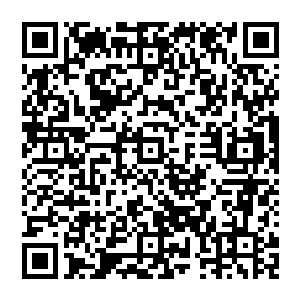 而是竭力压制着这里的死气和杀伐之气对他们的心性影响目光一刻不离地注视着那个渐渐变淡的气柱二维码生成