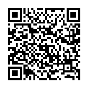 而是羡慕能整天在南街上呆着――我挺想找找林可儿的二维码生成