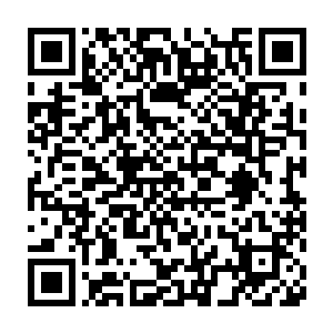 而是自己也因为之前积累的旧伤和虫将陨落的反噬而受了不轻的伤二维码生成