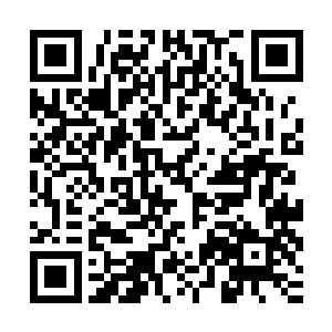 而是要把对方折磨的苟延残喘的时候才会张开血盆大口露出獠牙二维码生成