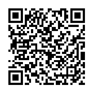 而是说出了一个众所周知却无人敢明言的事实而已二维码生成