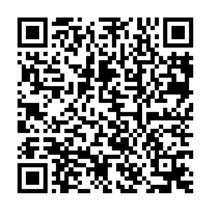 而是迅速把堆放在树林边上的大堆海带和贝肉珍珠那些搬到了火堆旁二维码生成