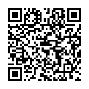 而是问他上次献给严嵩的东南倭患七事那篇奏折草稿怎么样二维码生成