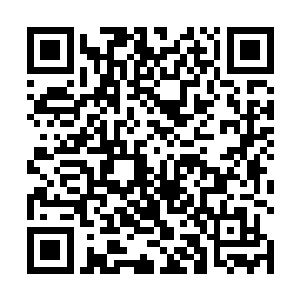 而是靠双头裂体兽飞行和穿越石位移两种手段交替使用二维码生成