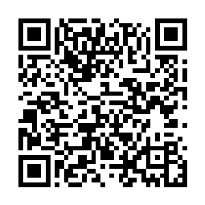 而晚辈碰巧之下就掌握了这种五行灵草的种植方法二维码生成