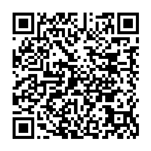 而暗红巨伞鹤立鸡群的分布在一大片矮胖碧绿的圆瓶树和杏黄纤细的糖枫树中二维码生成