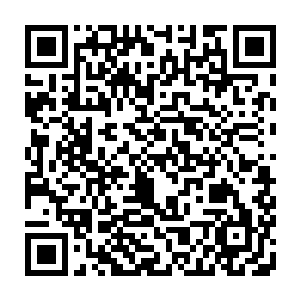 而曾经延续了不知道多事辈的白雾族也彻底的从他们这一代人告别了这片大陆二维码生成