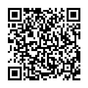 而最后一次圣战也代表着所有积累矛盾和历史遗留都会同时爆发二维码生成