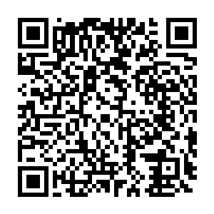 而最终将本已经十分火爆的气氛彻底点燃的是一个小型家族的族长二维码生成
