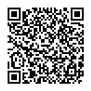 而杨晨尽管他觉得他的资质也不错但是和拥有天道符文的赵羽来说二维码生成