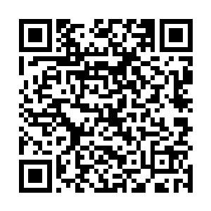 而杨晨现在要镌刻在箭身之上的这个基础能量增强矩阵二维码生成
