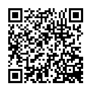 而林辰却是直接将目光定格在了前方的巨型石门上二维码生成