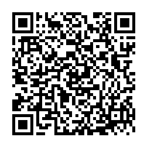 而桑红梅这边却是一条长长的血条在缓慢而又坚定的一点一点下移二维码生成