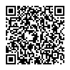 而楚星给苏释晨打电话的主要目的就是提醒苏释晨要全力书写奇幻小说二维码生成